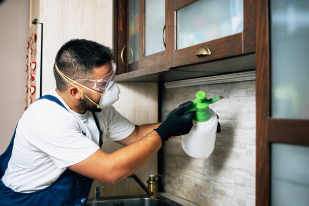 Best Emergency Pest Control  in Salmon Brook, CT