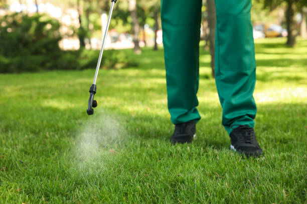 Reliable Salmon Brook, CT Pest Control Solutions