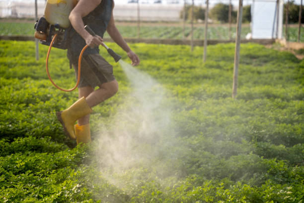 Best Pest Removal Services  in Salmon Brook, CT