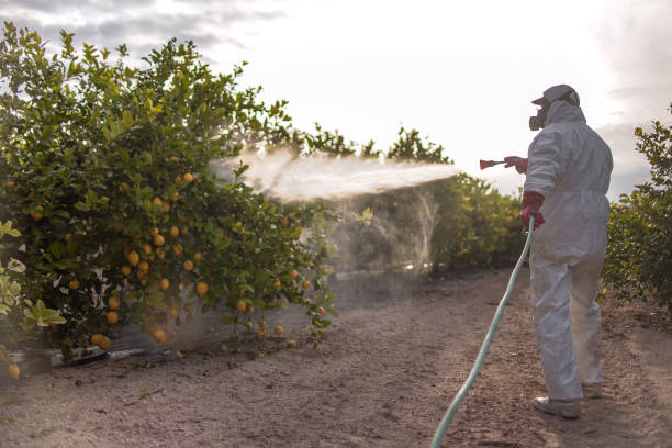 Best Residential Pest Control  in Salmon Brook, CT