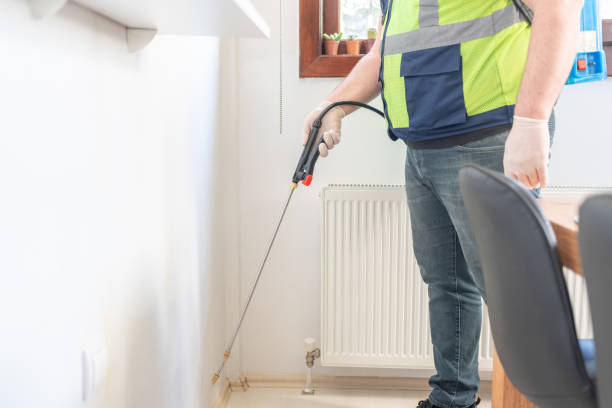 Best Wasp Removal Services  in Salmon Brook, CT