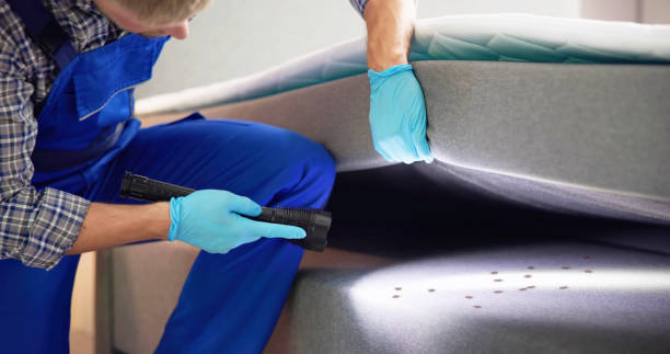 Best Termite Control Services  in Salmon Brook, CT
