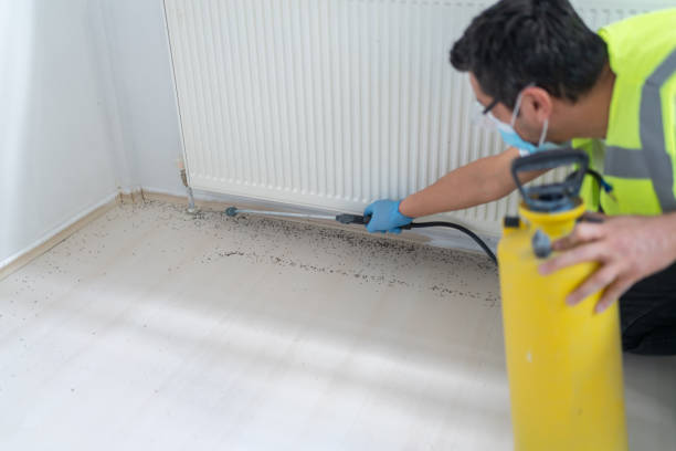 Best Exterminator Services  in Salmon Brook, CT